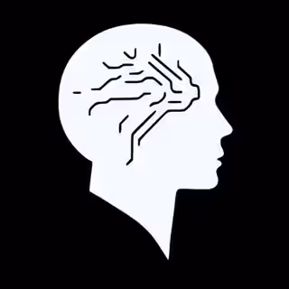 Neural Internet